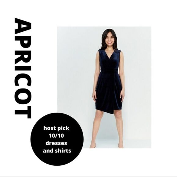 ❤️NWT APRICOT Navy Blue Velvet Cocktail Dress - Picture 1 of 16